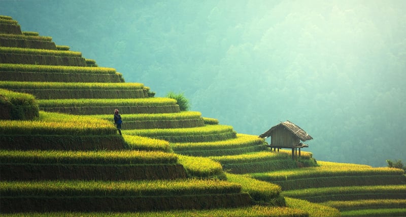Sustainable Gifting